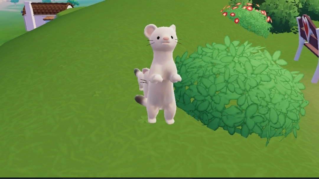 《心动小镇》雪貂位置及喜爱食物分享