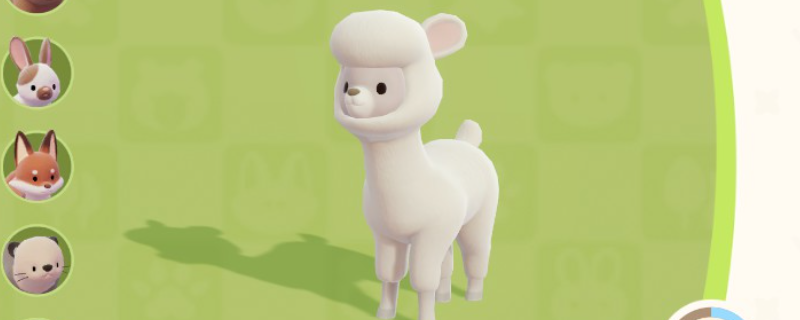 《心动小镇》羊驼位置及喜爱食物分享