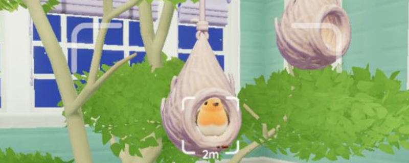 《心动小镇》观鸟玩法技巧分享