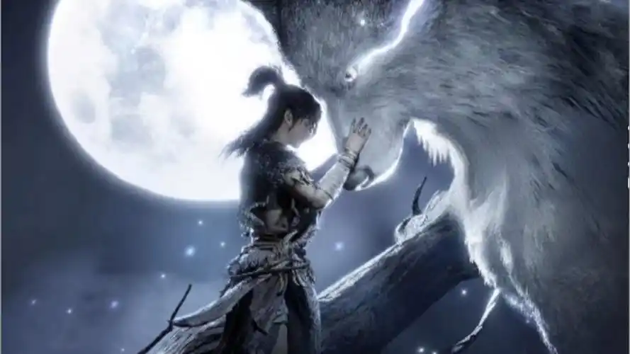 燕云十六声白狼主隐藏任务攻略