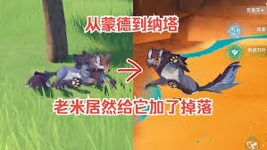 原神白灵果在哪里采集