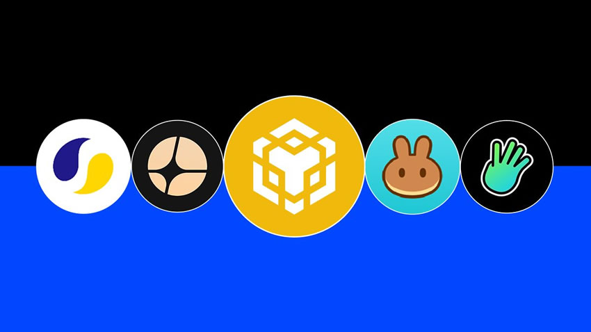 BNB生态有哪些币?热门和市值排名前列的BNB生态代币盘点