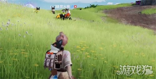 伊莫狼牙岭宠物怎么捕捉1