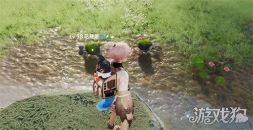 伊莫狼牙岭宠物怎么捕捉2