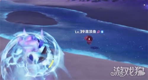 伊莫潮花岸精灵有哪些6