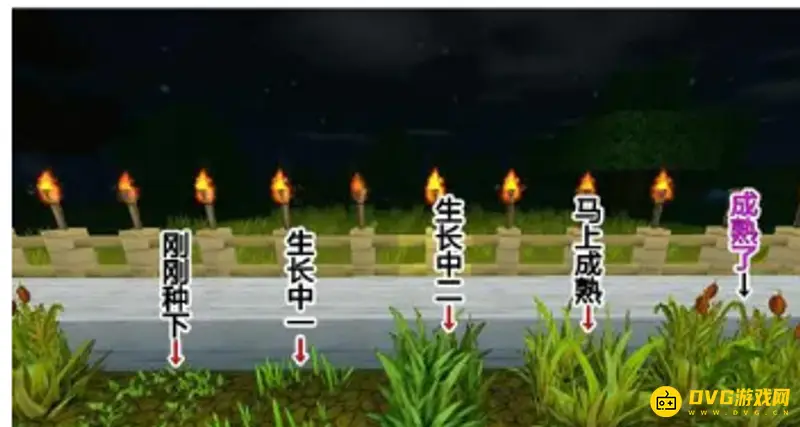 《迷你世界》麦粉制作方法详解