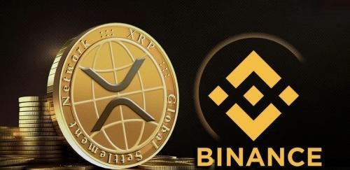 市场定位：DeFi热土与跨境支付专家的分野