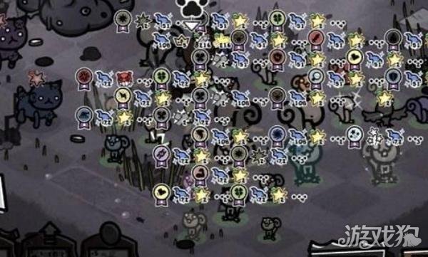 喵喵的结合德鲁伊松鼠流派怎么玩2