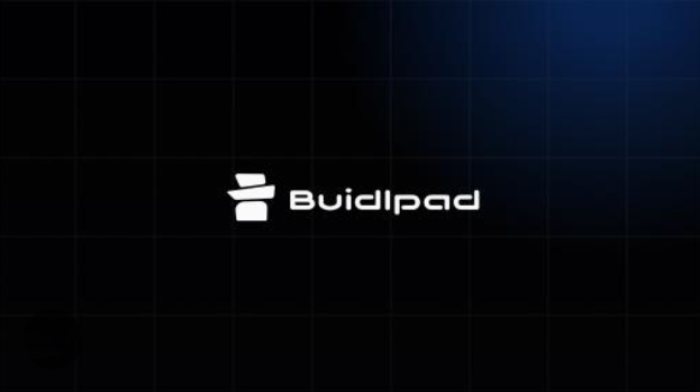 Buidlpad发展背景与崛起原因解析
