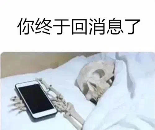 你终于回消息了骷髅原图