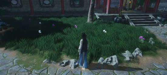 《燕云十六声》皇宫采集玉楼春及魏紫攻略