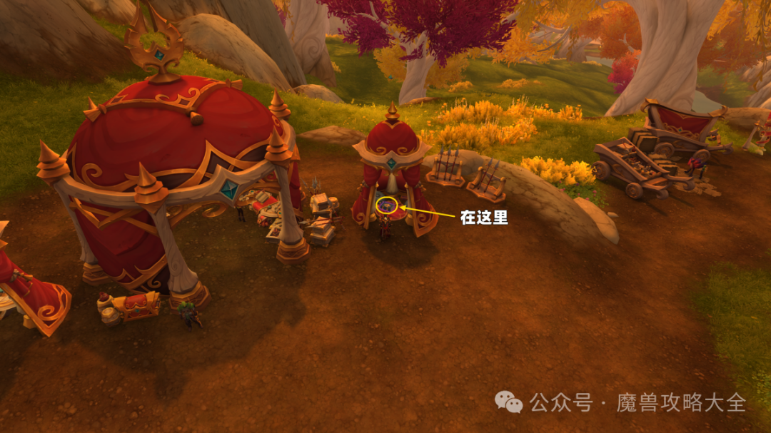 魔兽世界12.0龙鹰养殖学：未删节按本在哪