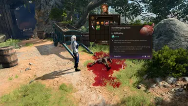 《博德之门3》黑暗冲动消耗品MOD