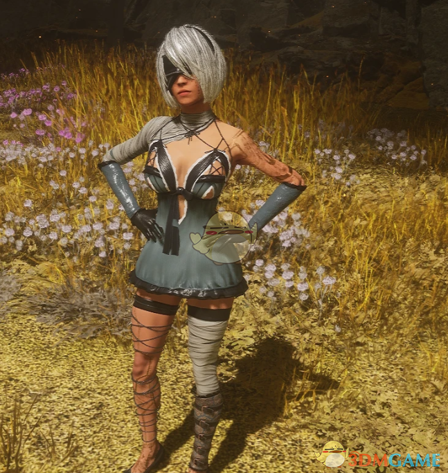 《光与影：33号远征队》吕涅的尼尔凯尼连衣裙MOD