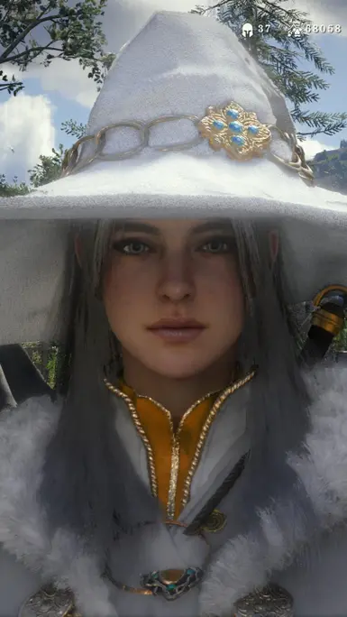 《红色沙漠》女巫沙漠MOD