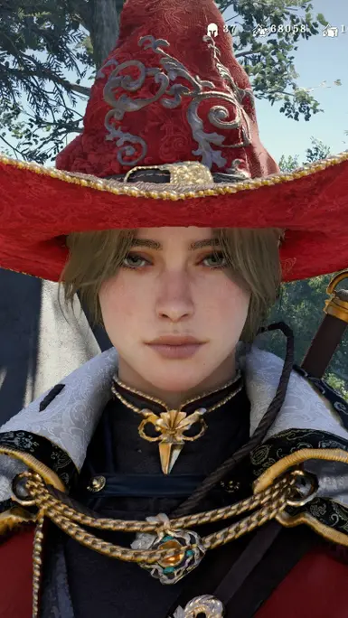 《红色沙漠》女巫沙漠MOD