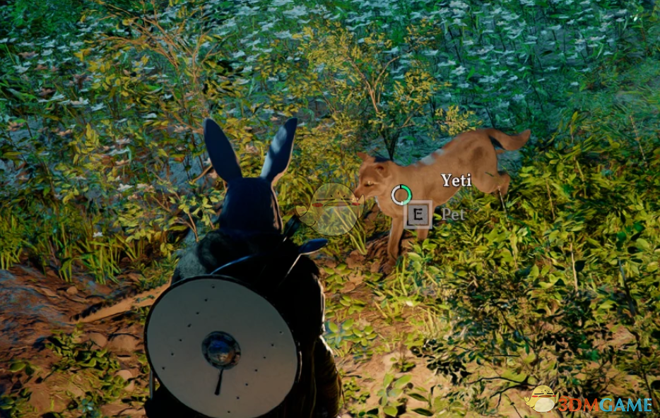 《红色沙漠》宠物更名MOD