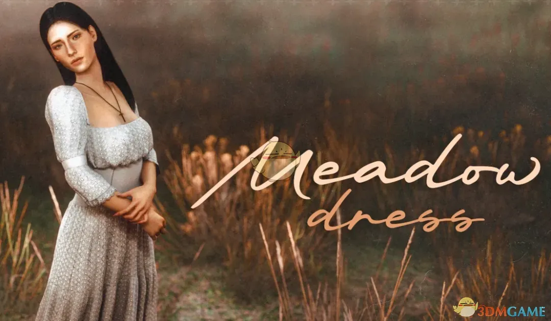 《赛博朋克2077》草原长装MOD