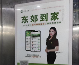 东郊到家498法式spa体验如何-东郊到家498最新暗号合集