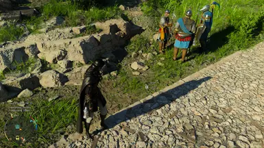 《红色沙漠》隐形蜘蛛MOD