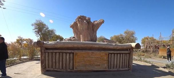 狩猎驿站攻略（一步步教你掌握狩猎驿站中的各种技能，提升你的狩猎实力）-第1张图片-