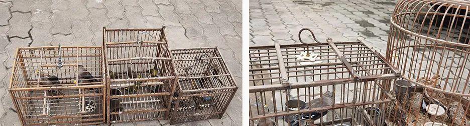 狩猎驿站攻略（一步步教你掌握狩猎驿站中的各种技能，提升你的狩猎实力）-第3张图片-