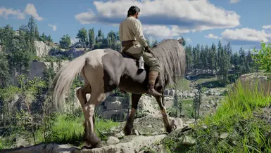 《红色沙漠》干净的马MOD