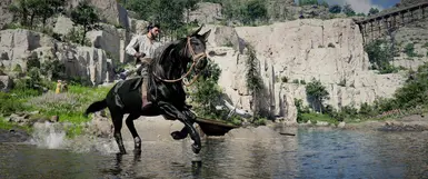 《红色沙漠》干净的马MOD