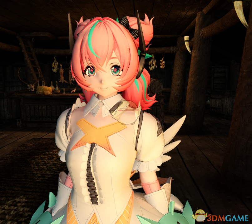 《上古卷轴5：天际重制版》绝区零女随从爱芮MOD