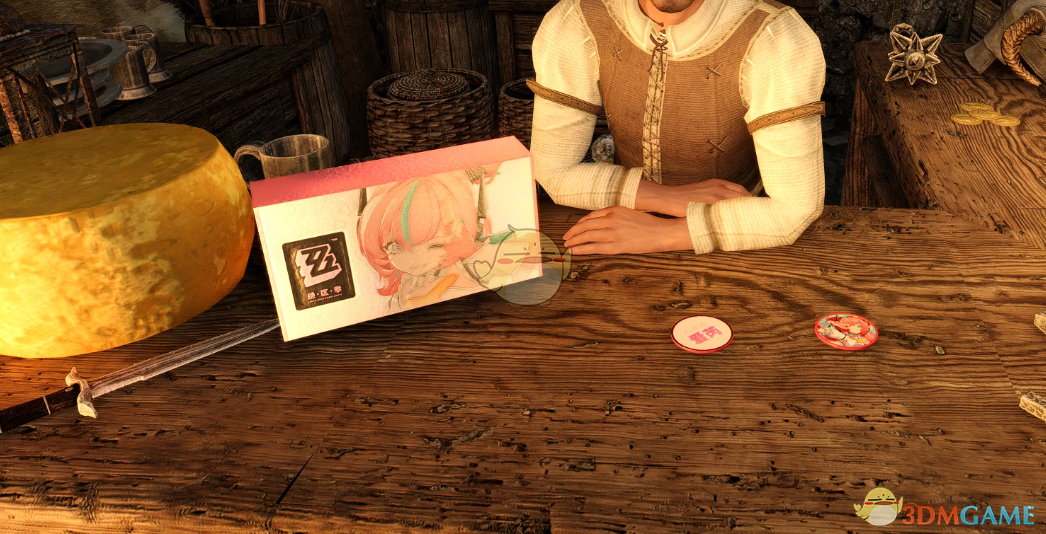 《上古卷轴5：天际重制版》绝区零女随从爱芮MOD