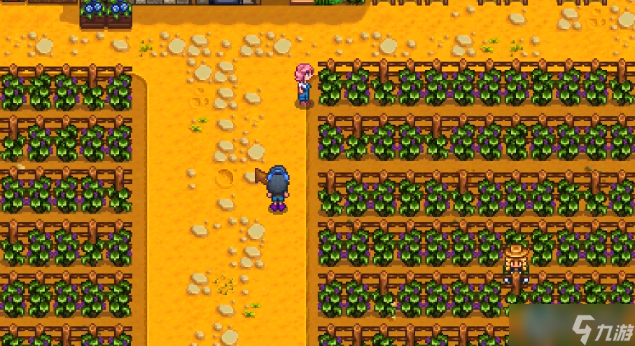 蓝月亮葡萄园探索指南：索菲亚的家与她的酿造世界