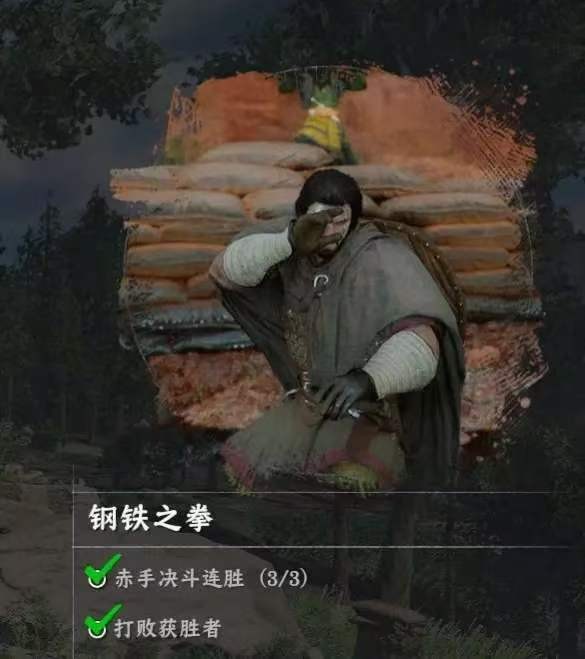 《红色沙漠》游戏王者成就做法分享