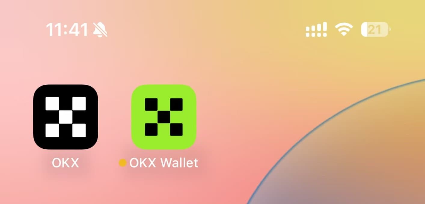 苹果（iOS）端下载安装指南