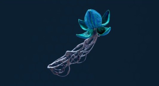《深海迷航2:异星水域》布鲁姆寄生虫特点介绍