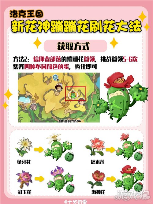 洛克王国世界刷花攻略最新-3