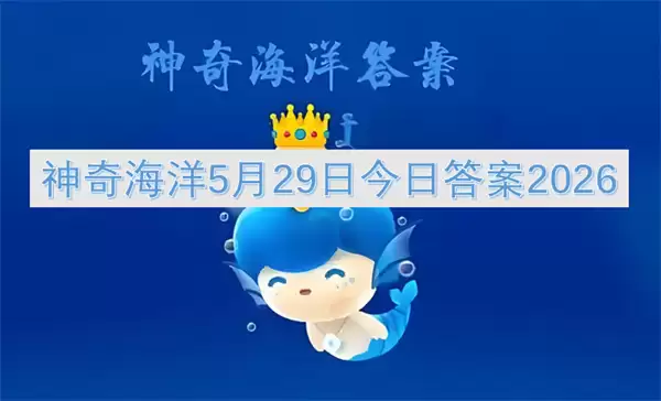 神奇海洋：2026年5月29日最新答案揭晓