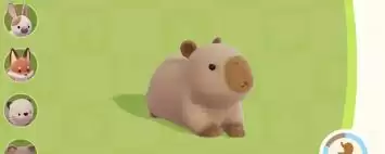 心动小镇动物最爱吃什么