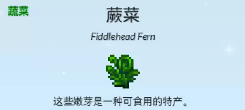 蕨菜