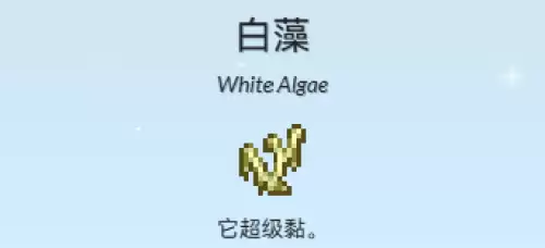 白藻