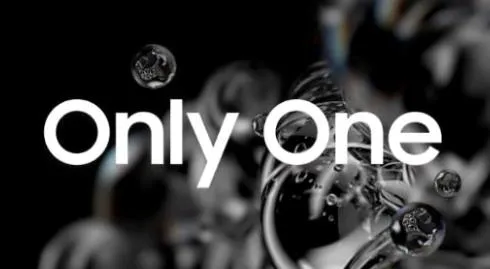 Only One(单挑格斗游戏)