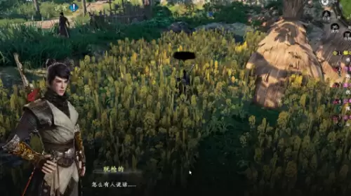 下一站江湖2丢失的手镯任务4
