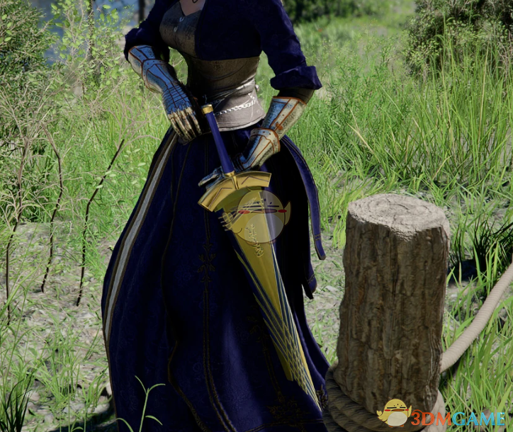 《红色沙漠》FGO誓约胜利之剑MOD