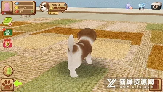心动小狗(小狗养成游戏)