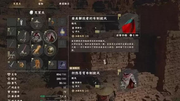 红色沙漠面具解放者的布制披风