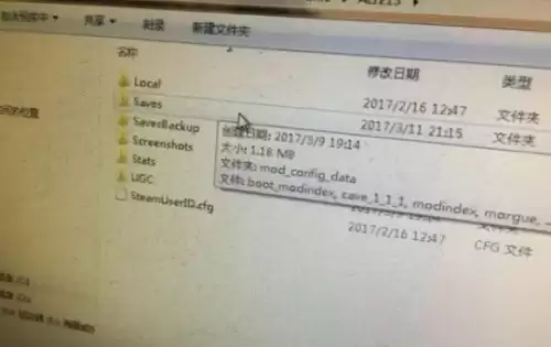 饥荒存档文件夹是哪个4 饥荒存档文件夹是哪个4
