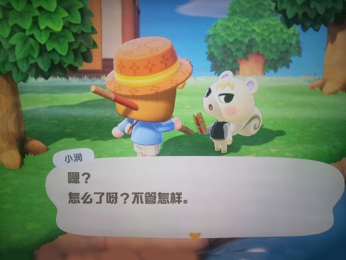 集合啦动物森友会怎么邀请小动物 Amiibo动物入住小岛教程