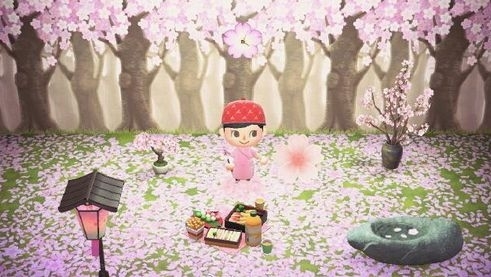 Switch动物之森樱花花瓣获得方法 动物森友会樱花瓣怎么获得