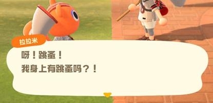 动物森友会游戏图片1