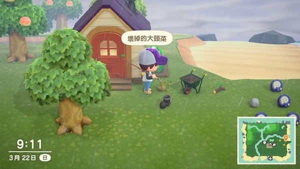动物森友会大头菜怎么种 Switch动物之森大头菜可以种吗