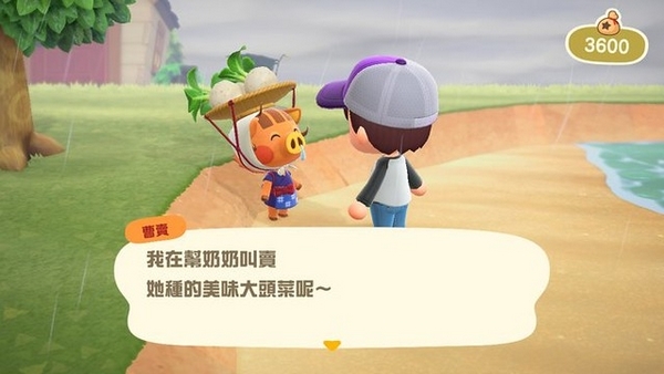 动物森友会游戏图片2